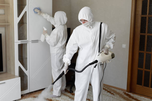Professional Mold Removal in Summit, MS