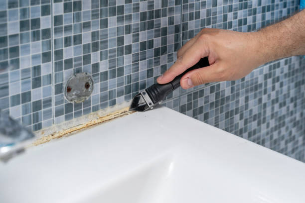 Office Mold Removal Services in Summit, MS